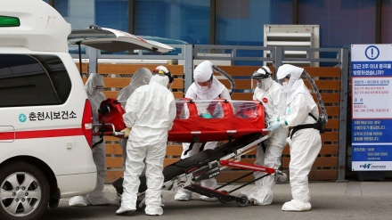 韓国とタイの新型コロナ状況