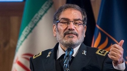 沙姆哈尼向特朗普，蓬佩奥和胡克喊话：任性的低效统治只会造成威胁