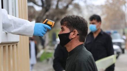 تاکید دولت افغانستان و سازمان ملل بر هماهنگی در مبارزه با ویروس کرونا