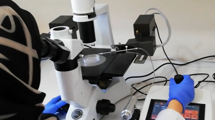 伊朗细胞内注射系统实现本地化