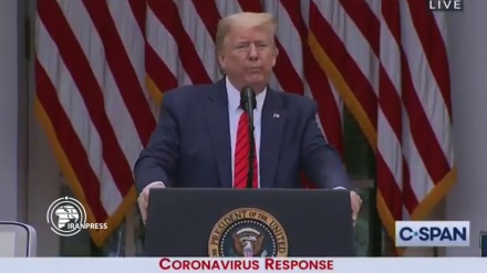 Trump: Seçimleri açık ara kazanacağım