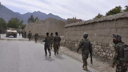 4 کشته در حمله افراد مسلح ناشناس در ننگرهار+صوت