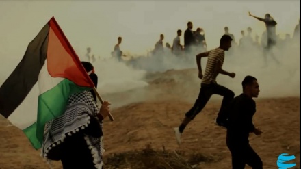 Gaza: Permanentemente en nuestro corazón (Parte I)