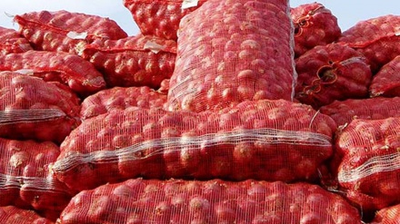 پاکستان عوارض واردات محصولات کشاورزی از ایران و افغانستان را لغو می کند
