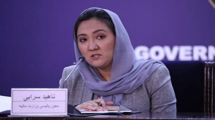 کناره گیری معین وزارت مالیه افغانستان از مقامش 