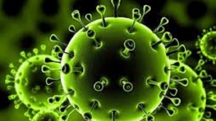 Koronavirüs ve Yeni Devir-5 (Son Bölüm)