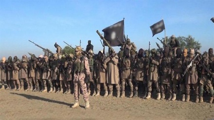 Irak: USA und Saudi-Arabien wollen IS-Terroristen im Irak wiederbeleben