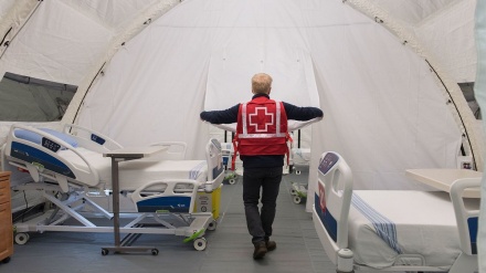 カナダの新型コロナ感染者　これまでに5562人が死亡