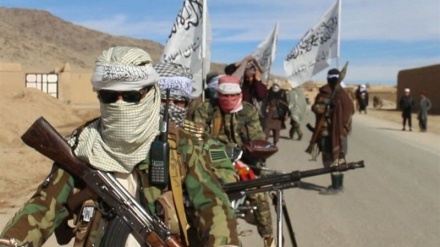 کشته شدن 25 عضو گروه طالبان در افغانستان 
