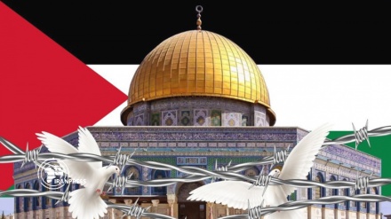 世界各地大学教授出席古都斯视频会议