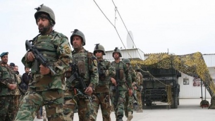 پنتاگون: 50 درصد نیروهای افغانستان به کرونا مبتلا شدند