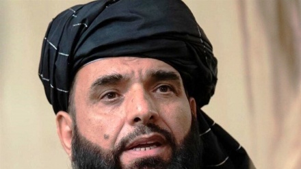 塔利班警告达易沙不要在阿富汗进行活动