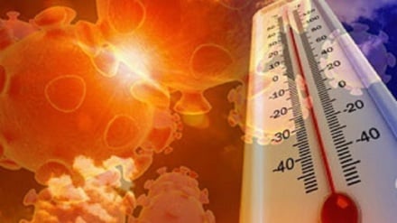 گرم شدن هوا در انتشار کرونا چه تاثیری دارد؟