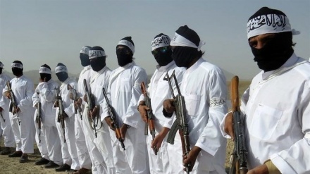 塔利班对驻阿富汗的美恐怖主义指挥官讲话作出回应
