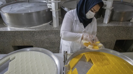 Berbuka dengan Tar Halva Shiraz, Iran