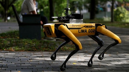 Singapore unveils robot to enforce safe distancing among park goers