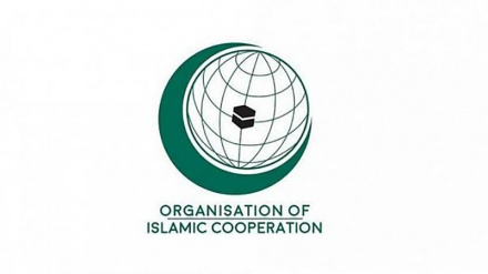 ＯＩＣ、「ヨルダン川西岸の併合阻止に向けて実質的な緊急措置を」