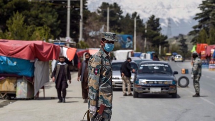 Taliban stage deadly bomb attack in Afghanistan