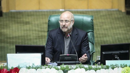 イラン国会議長、「イラン・イスラム革命はグローバルな資本主義体制にとって最も重要なライバルの典型」