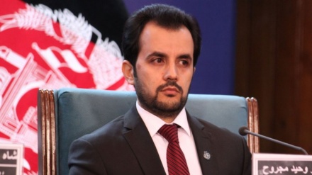 وحید مجروح سرپرست وزارت صحت عامه افغانستان شد
