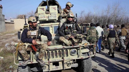 At least 14 Afghan militants killed in separate Taliban attacks: Officials