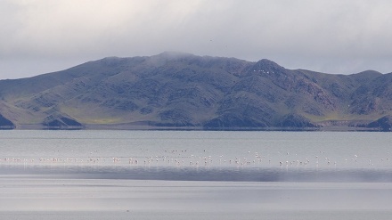 Keindahan Danau Urmia pada Musim Semi (3)