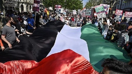 世界ゴッツの日に因み、パレスチナ国旗の掲揚案に世界的な歓迎の声