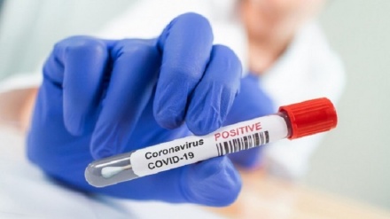 Oms, ricevute sequenze virus da Pechino, l'origine è europea