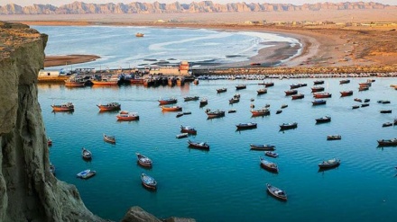 チャーバハール港から１１カ国に３０００トン超の水産物が輸出