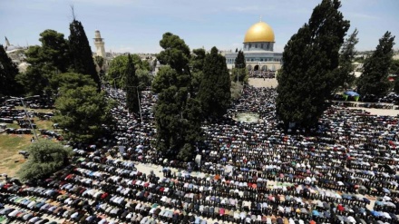 Ribuan Warga Palestina Shalat Subuh dan Jumat di Masjid al-Aqsa