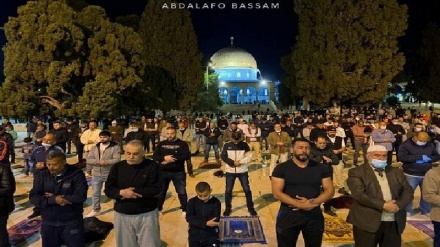 Fuerzas israelíes arrestan a 8 palestinos en Mezquita Al-Aqsa