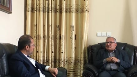 رئیس دانشگاه هرات خواستار ارتقاء ظرفیت‌های علمی-دانشگاهی ایران و افغانستان شد