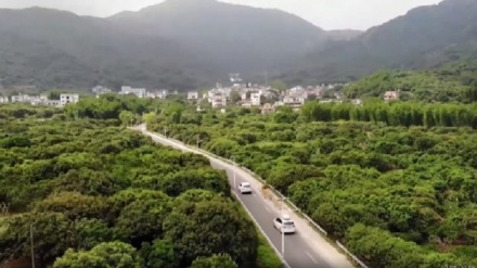 中国湖北省に観光客戻る　新たな新型コロナ感染者0人で（動画）