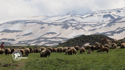 Boz-e-Sina山，达兰帕尔旅游景点地位于雪山隧道中间