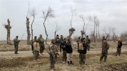  Afghan forces bust joint ‘Daesh-Haqqani’ terror cell 