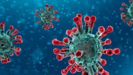 WHO Prediksikan Tahun Depan Seperempat Penduduk Afrika Terkena Corona