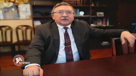 Ulyanov: Görüşmelerin sonuna yaklaştık