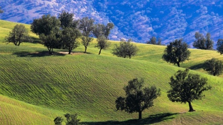 デフデズ、イラン南西部フーゼスターン州（写真）