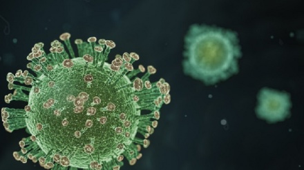 Oms rivela in dettaglio per quanto tempo il coronavirus vive sulle superfici