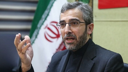 イラン司法府人権本部事務局長、「人権機関は米での黒人殺害に沈黙すべからず」