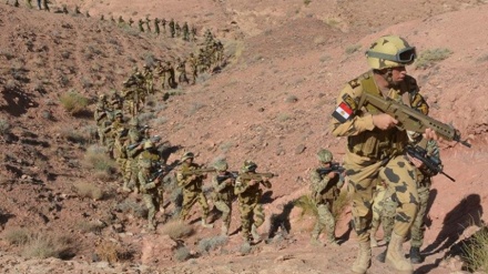 Egitto, l'esercito demolisce più di 12.000 edifici, per HRW un crimine di guerra