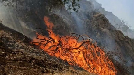 Army fighting wildfire in southwest Iran