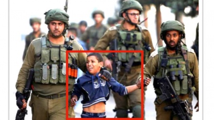 向世界人民传递被压迫巴勒斯坦儿童的呼唤