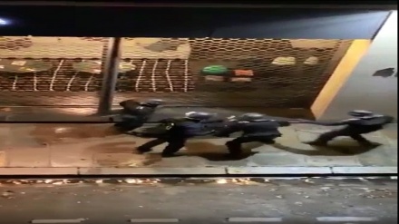 仏警察が抗議者に暴力　動画で明らかに