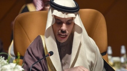 沙特阿拉伯反对吞并西岸的计划