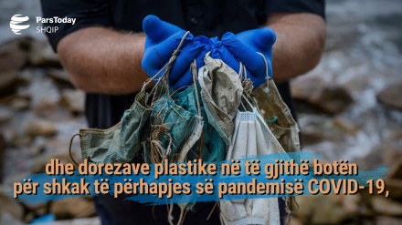 Pandemia COVID-19 po kërcënon specie të rrezikuara në oqeanet tona