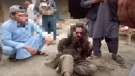 کشته و زخمی شدن پنج  نفر از اعضای گروه طالبان دردرگیری با نیروهای امنیتی در ولایت ننگرهار 