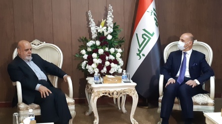 伊朗准备扩大与伊拉克在体育领域的合作