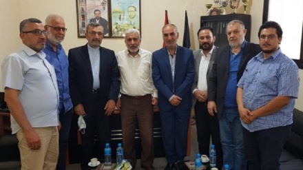 伊斯兰圣战组织和真主党：坚持抵抗运动直到实现最高目标