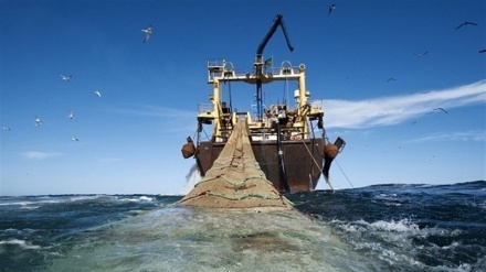 伊朗伊斯兰革命卫队海军部队扣押两艘工业拖网渔船